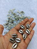 Sliver Cowrie- 100 gram