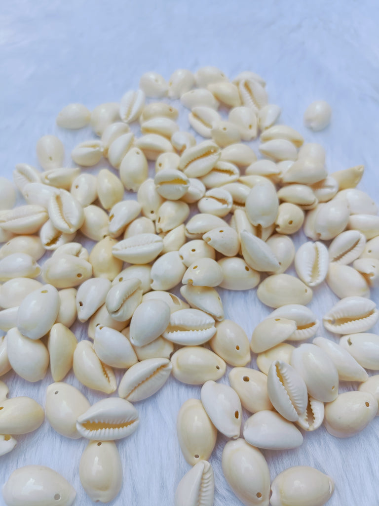Natural Bright Colour Cowrie- 100 gram