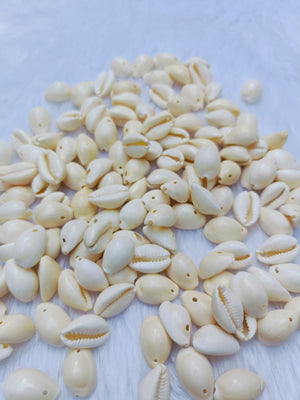 Natural Bright Colour Cowrie- 100 gram