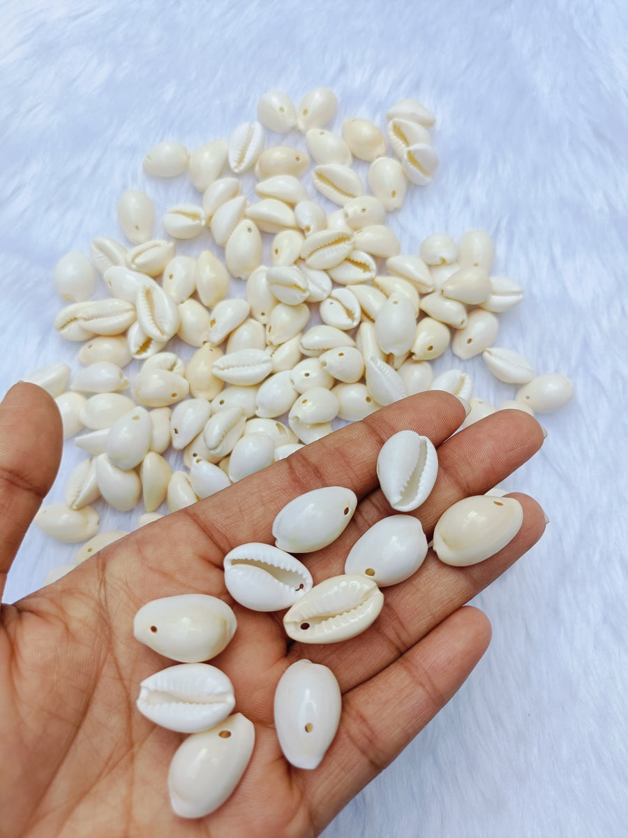 Natural Bright Colour Cowrie- 100 gram