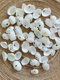 Natural medium size shell