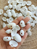 Natural medium size shell
